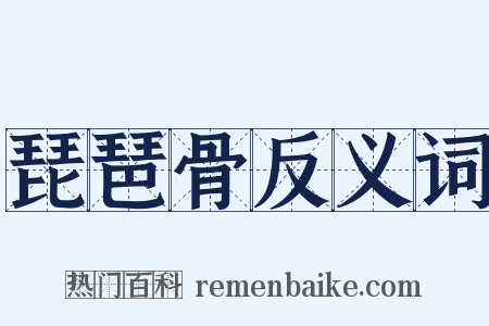 琵琶骨反义词是什么意思的图片